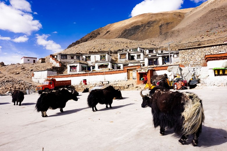 Sân và dãy nhà tu viện Rongbuk dưới trời cao nguyên
